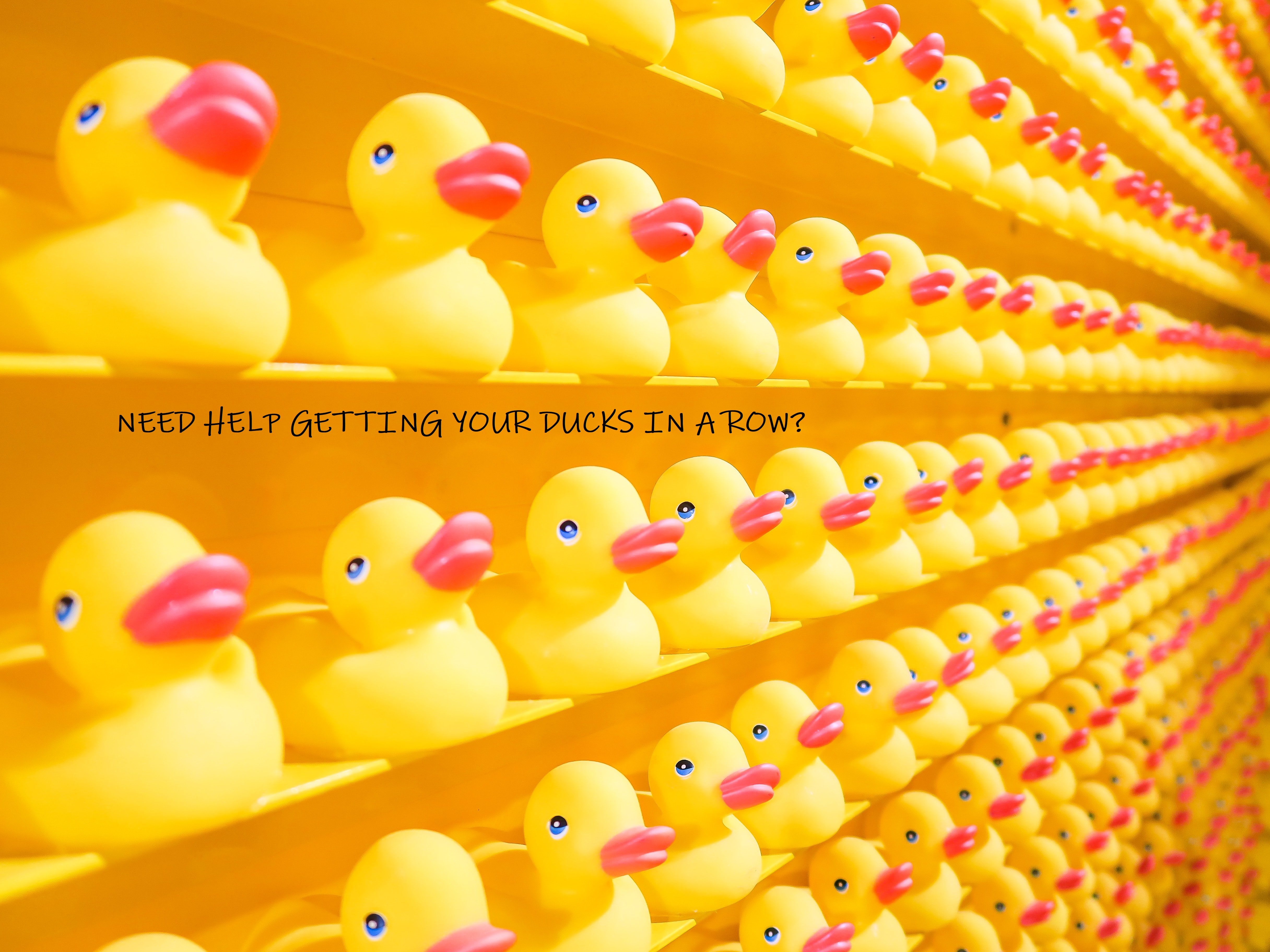 Need Help Getting Your Ducks in a Row?